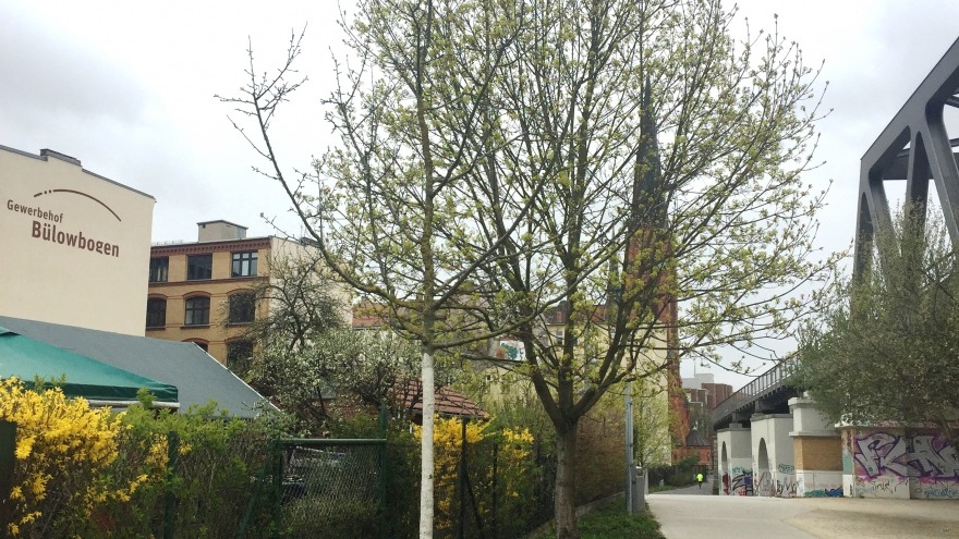 angrenzend, die Gärten im Garten angrenzend, die Gärten im Garten